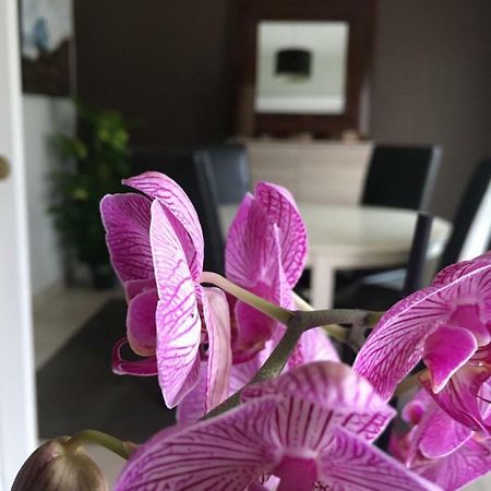 Nano House Lägenhet Bègles Exteriör bild