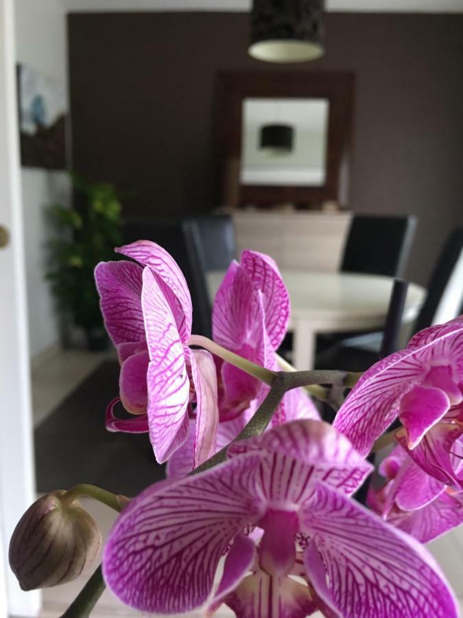Nano House Lägenhet Bègles Exteriör bild